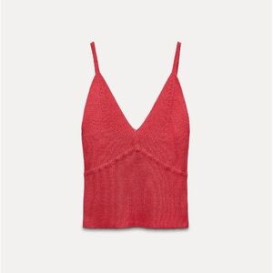 NWOT knit v neck top - zara (raspberry / size large)